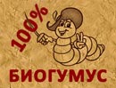 Баннер