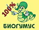 Баннер