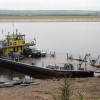 В Уфе за переправу собаки c дачников требуют плату