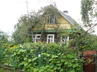 dereven-dom