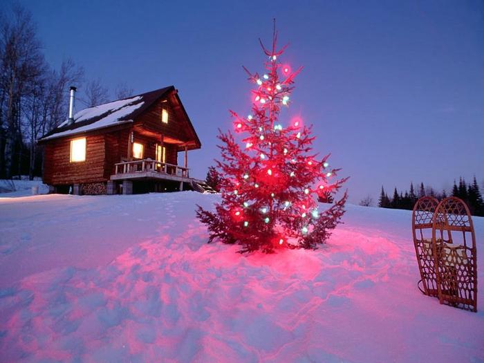 New_Year2011
