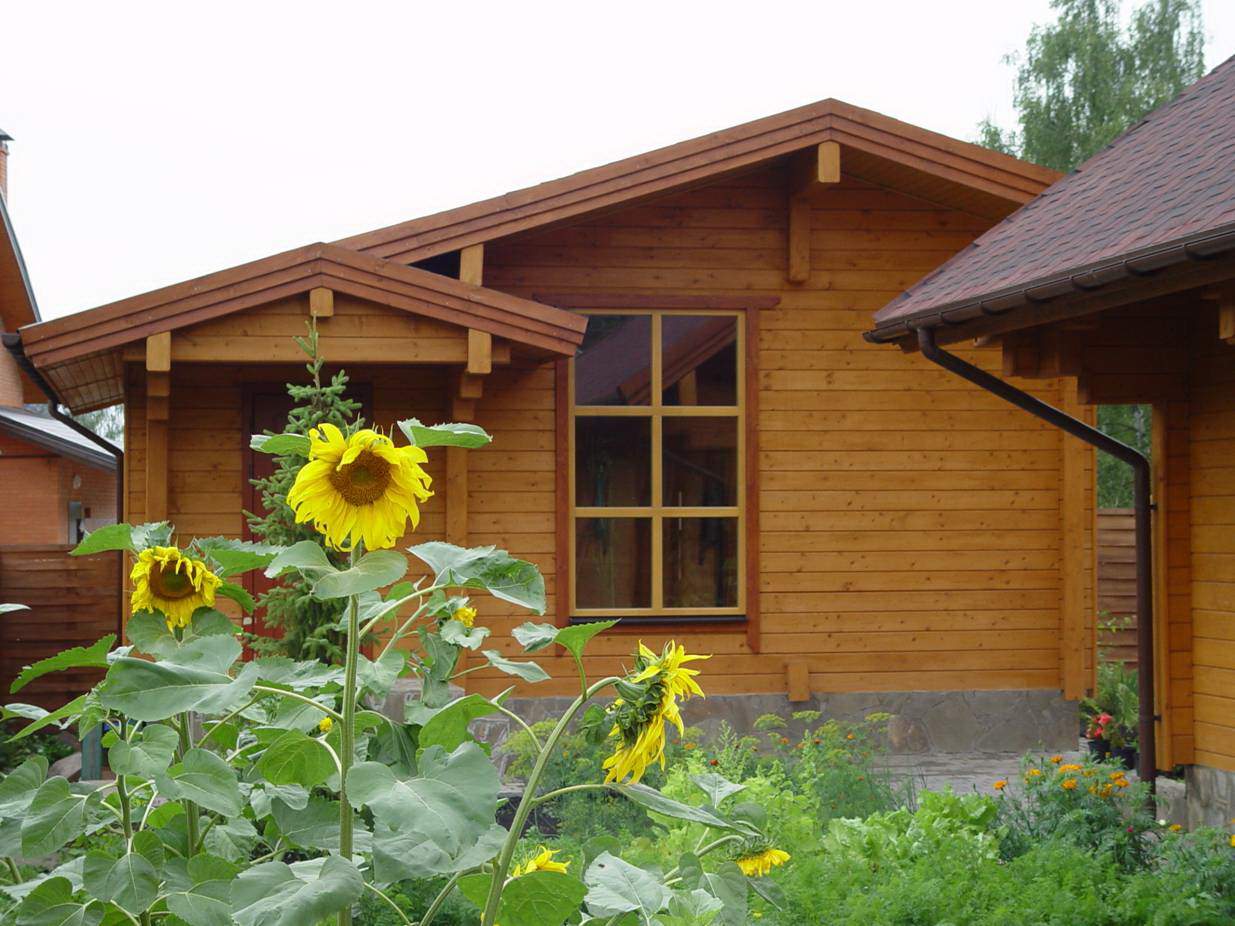 dacha-podsolnuhi