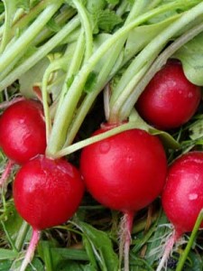 redis