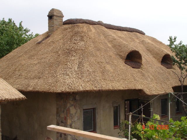 kamysh