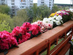 balkon2