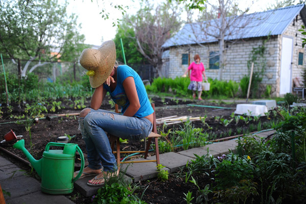 dacha1