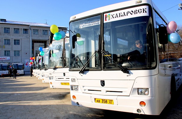 bus
