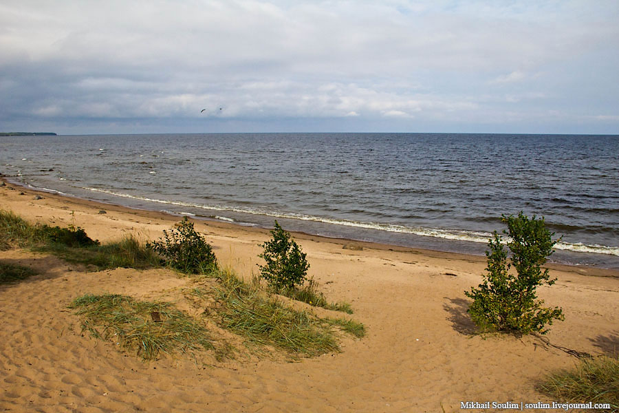 ladoga-kokkorevo