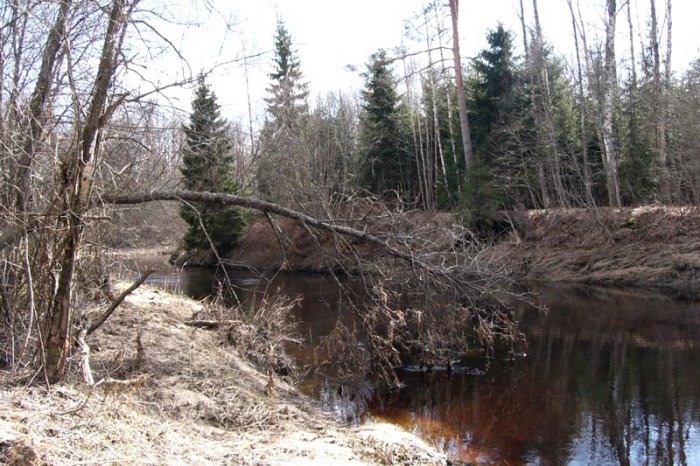dachu-pod-pskovom