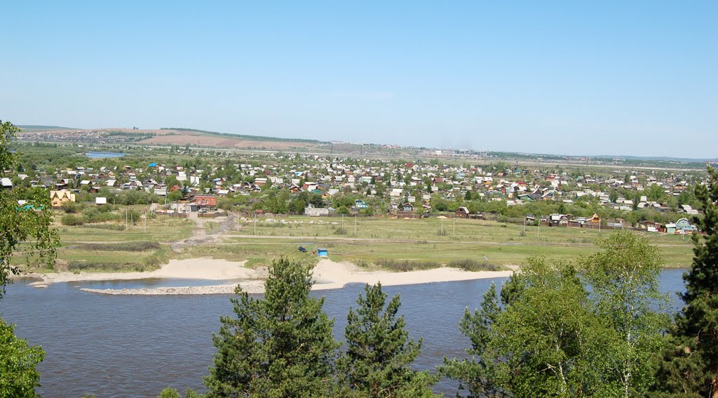 Selivanixa