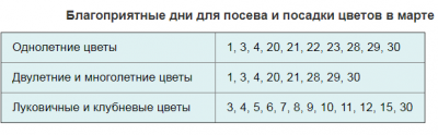 cveti