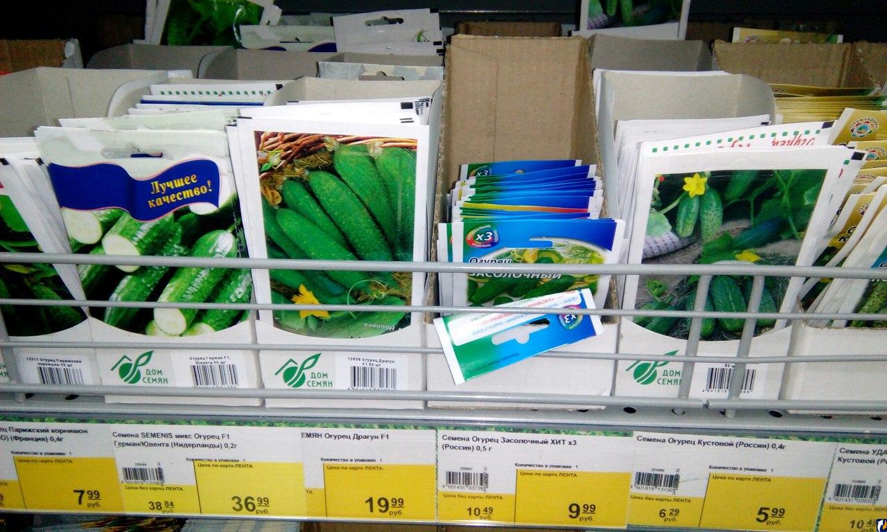 Авито Псков Дома Дачи Купить