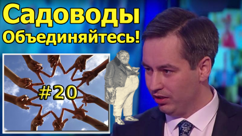 Ревизор- Друг, товарищ или враг?