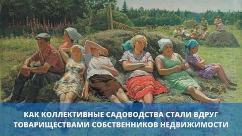 Как коллективные садоводства вдруг стали товариществами собственников недвижимости