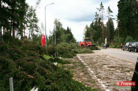В Приозерском районе без света остаются 67 населенных пунктов с населением 6 тысяч человек В Приозерском районе без света остаются 67 населенных пунктов с населением 6 тысяч человек