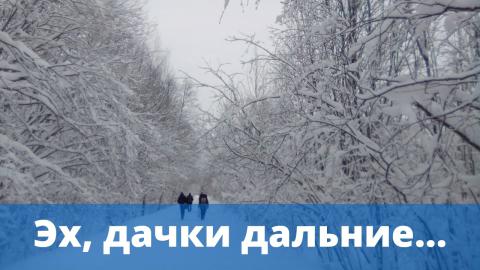 Ах, дачки дальние...