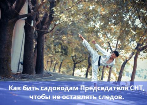 Как садоводам бить председателя СНТ, чтобы не оставить следов Как садоводам бить председателя СНТ, чтобы не оставить следов