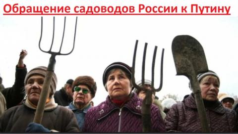 ОТКРЫТОЕ ОБРАЩЕНИЕ САДОВОДОВ РОССИИ В СВЯЗИ С ПАНДЕМИЕЙ КОРОНАВИРУСА ОТКРЫТОЕ ОБРАЩЕНИЕ САДОВОДОВ РОССИИ В СВЯЗИ С ПАНДЕМИЕЙ КОРОНАВИРУСА