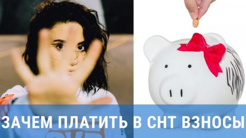 Зачем платить в СНТ взносы? Зачем платить в СНТ взносы?
