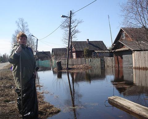 Ленобласть: Паша, Оять и Тигода рвутся из берегов Ленобласть: Паша, Оять и Тигода рвутся из берегов