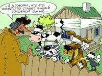 «Дачная амнистия»: Кругом ловушки! «Дачная амнистия»: Кругом ловушки!