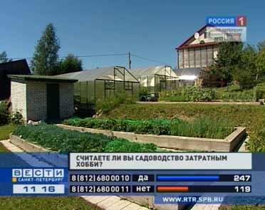 Можно ли прокормиться урожаем, выращенным на садовом участке? Можно ли прокормиться урожаем, выращенным на садовом участке?