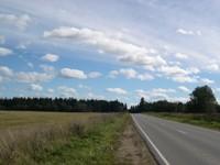 Дорогам Ленобласти пошли на пользу новые технологии и рекордная жара