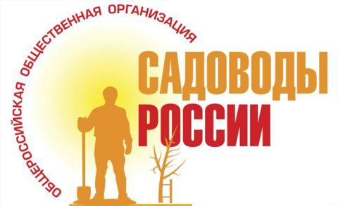 Андрей Туманов опроверг участие членов своей организации в митинге за плату