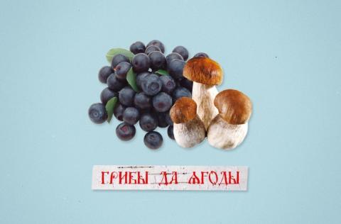 Грибные и ягодные места Омской области