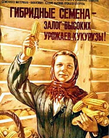 О семенах - нарушителях и штрафниках из райпо
