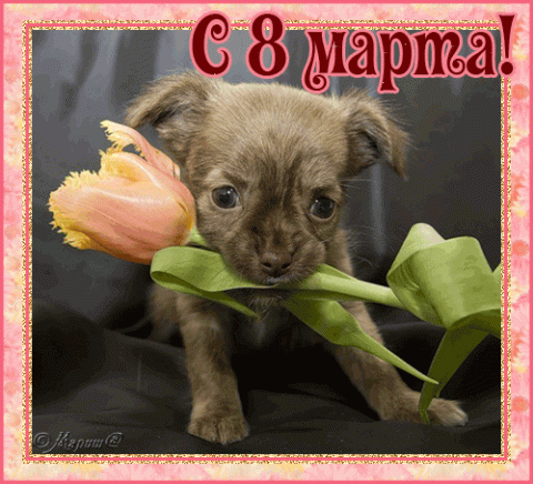 Поздравляем женщин!