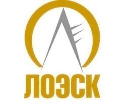 "Горячая линия" Ленинградской областной электросетевой компании (ЛОЭСК)