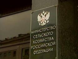 Садоводов и дачников хотят передать в Минсельхоз