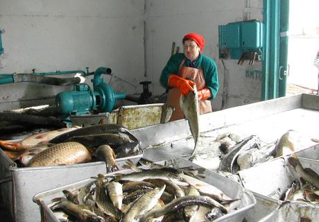 Очистные не выдержали критики