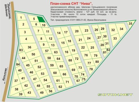 План СНТ "Нива" (Шелково, Волосовский р-н)