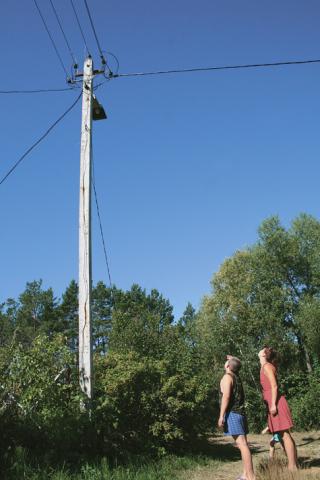 В Череповце за долги полностью обесточили крупнейшее садоводство