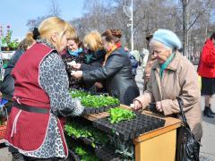 Дачная ярмарка в Вологде